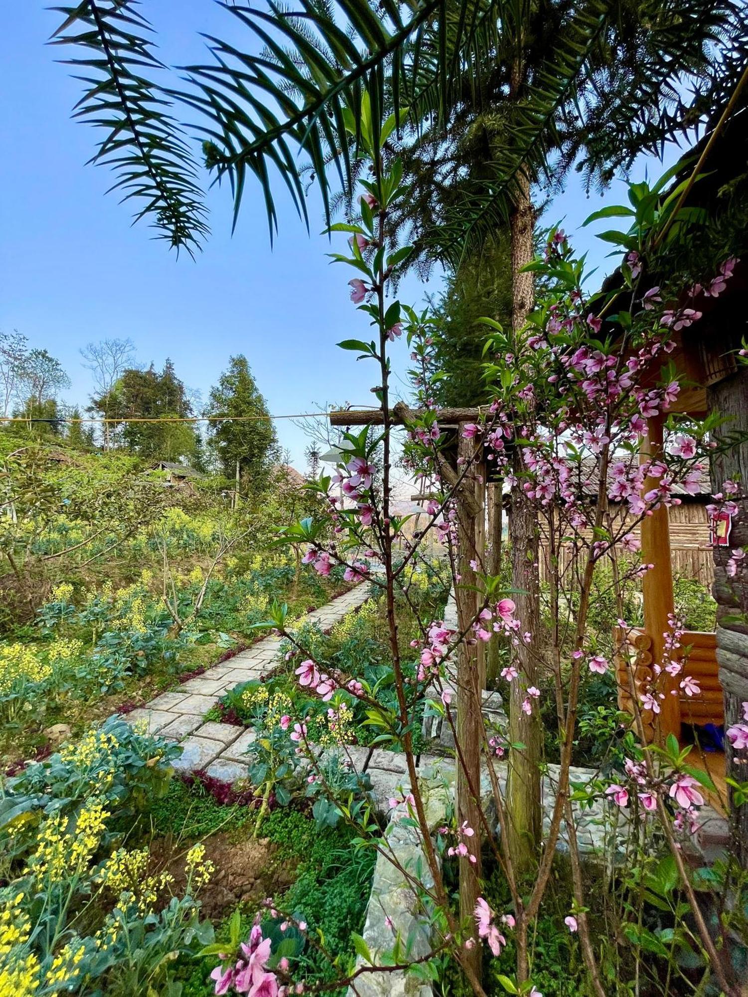So H'Mong Homestay ها باك المظهر الخارجي الصورة